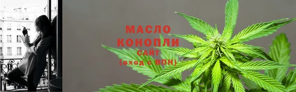 ECSTASY Пересвет