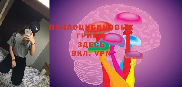 Альфа ПВП Абаза
