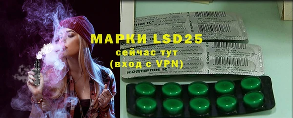 ECSTASY Пересвет
